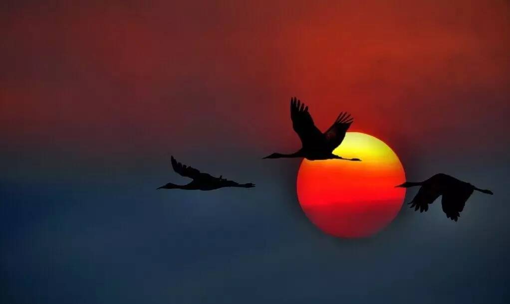 如詩如畫的草原意境，唯美風(fēng)景圖片！