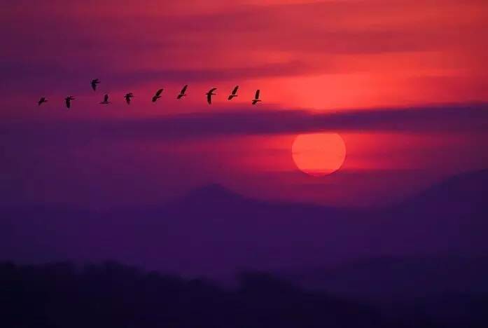 如詩如畫的草原意境，唯美風(fēng)景圖片！