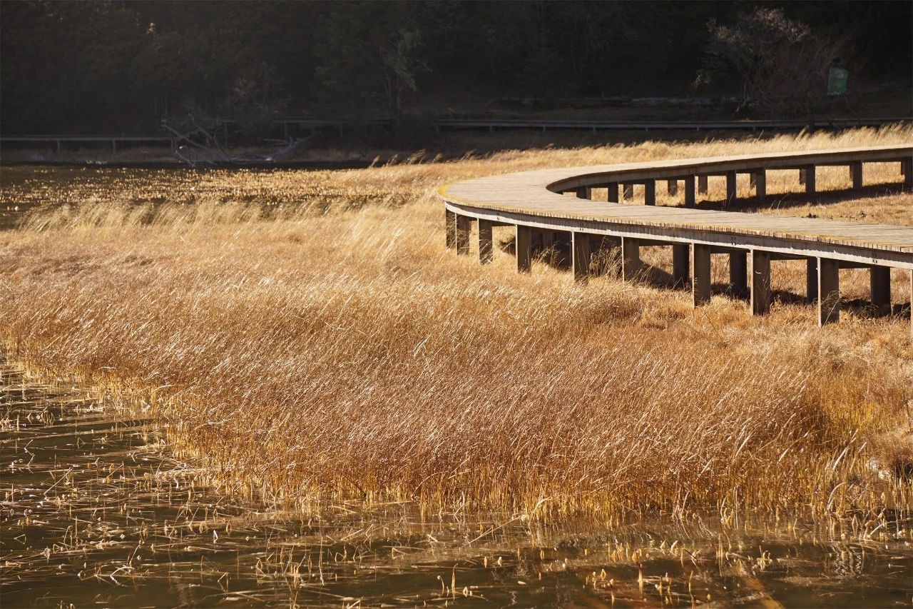 香格里拉·桔子水晶酒店，堅持內心最重要