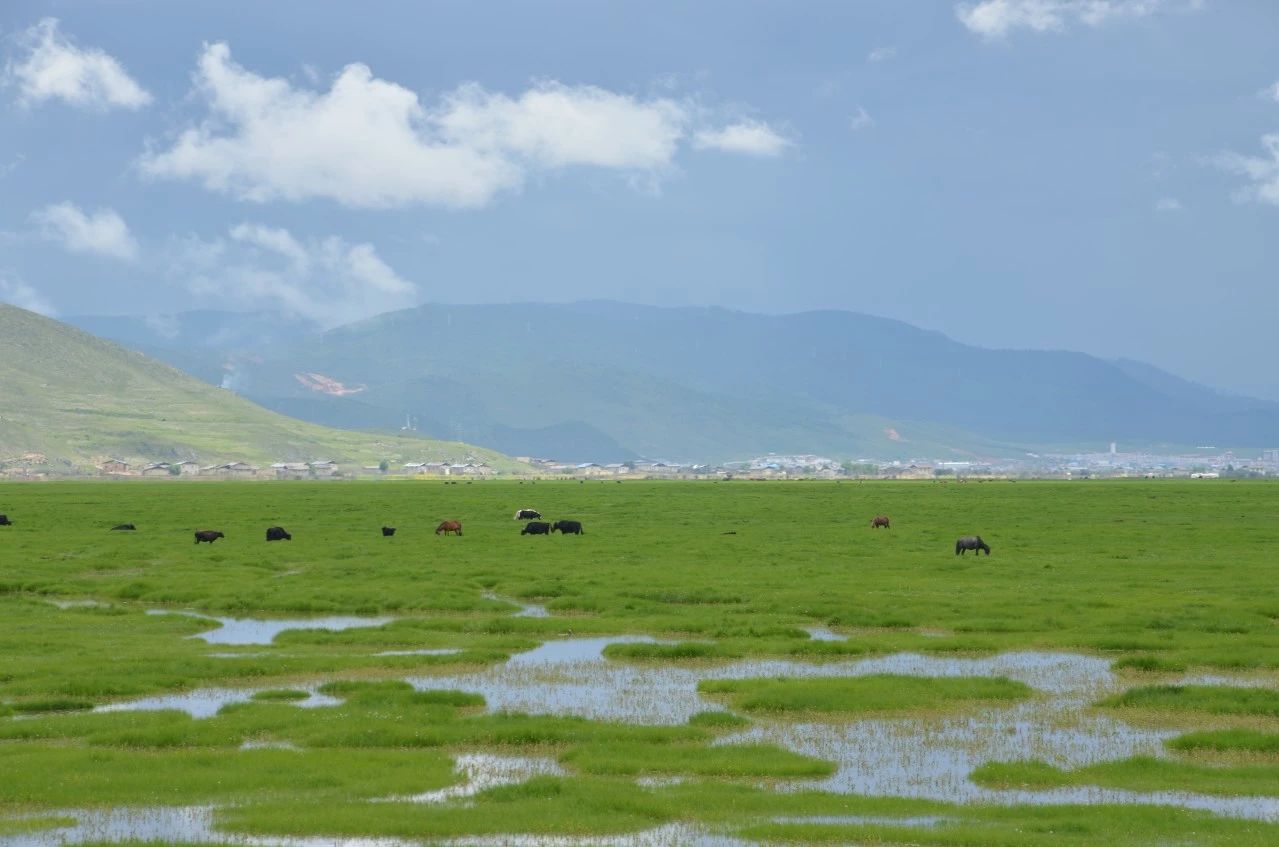 香格里拉·桔子水晶酒店，堅持內心最重要