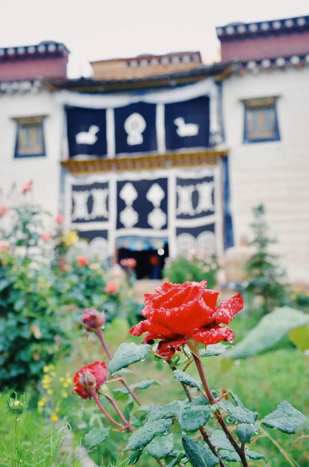 香格里拉·桔子水晶酒店，堅持內心最重要