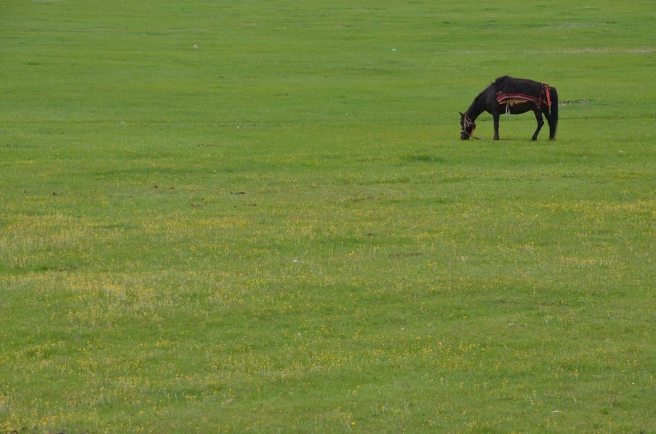 香格里拉·桔子水晶酒店，堅持內(nèi)心最重要