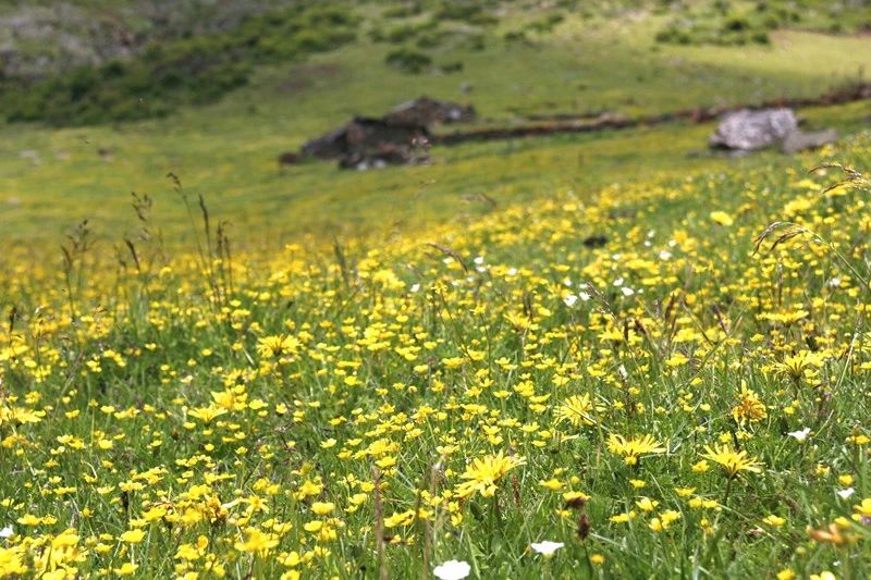光和云朵·雪寶頂，喂馬劈柴看盡四季繁華