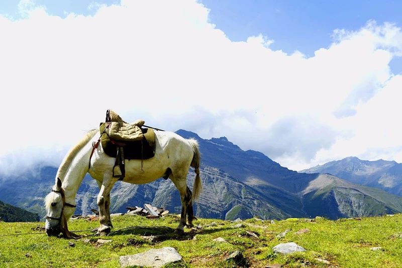 光和云朵·雪寶頂，喂馬劈柴看盡四季繁華