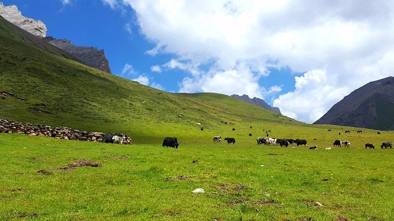 光和云朵·雪寶頂，喂馬劈柴看盡四季繁華