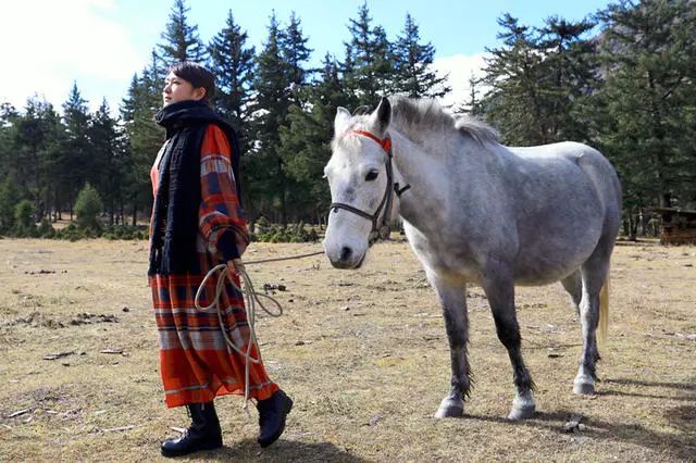 光和云朵·雪寶頂，喂馬劈柴看盡四季繁華