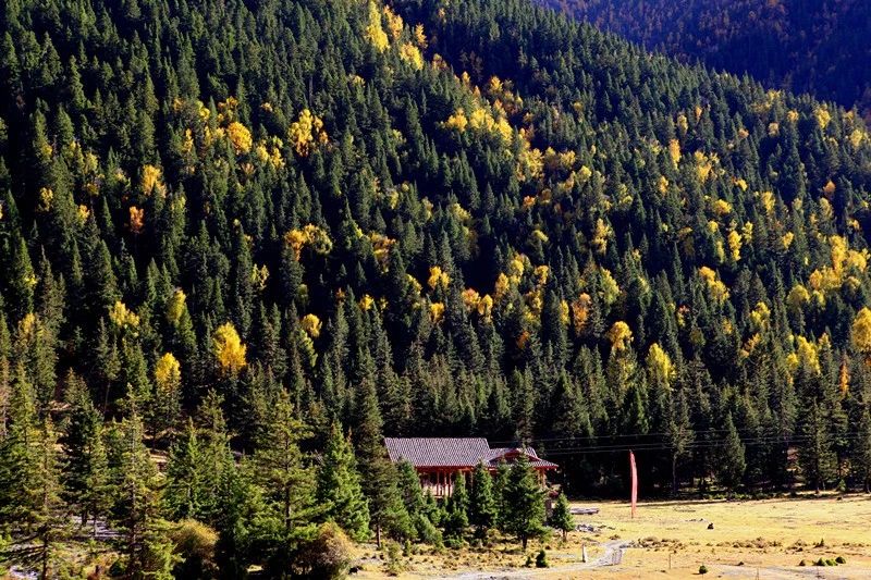 光和云朵·雪寶頂，喂馬劈柴看盡四季繁華