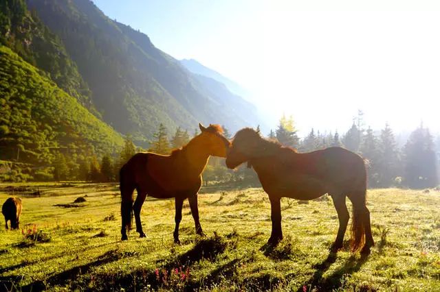 光和云朵·雪寶頂，喂馬劈柴看盡四季繁華