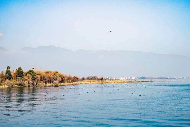 莫干山·梵谷，回歸自然的日子才是最難得