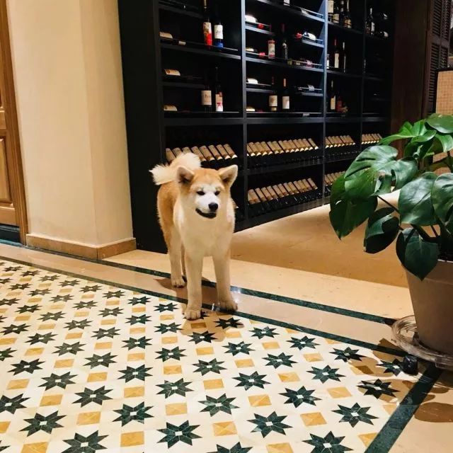 莫干山·梵谷，回歸自然的日子才是最難得