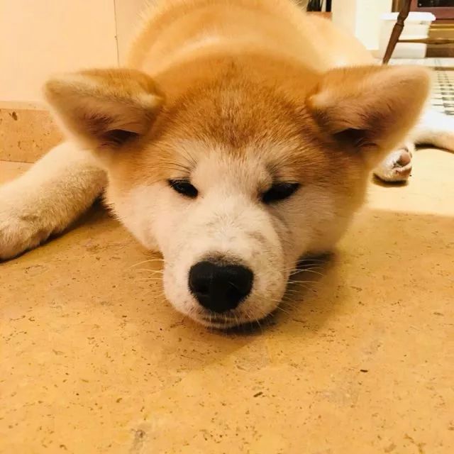 莫干山·梵谷，回歸自然的日子才是最難得