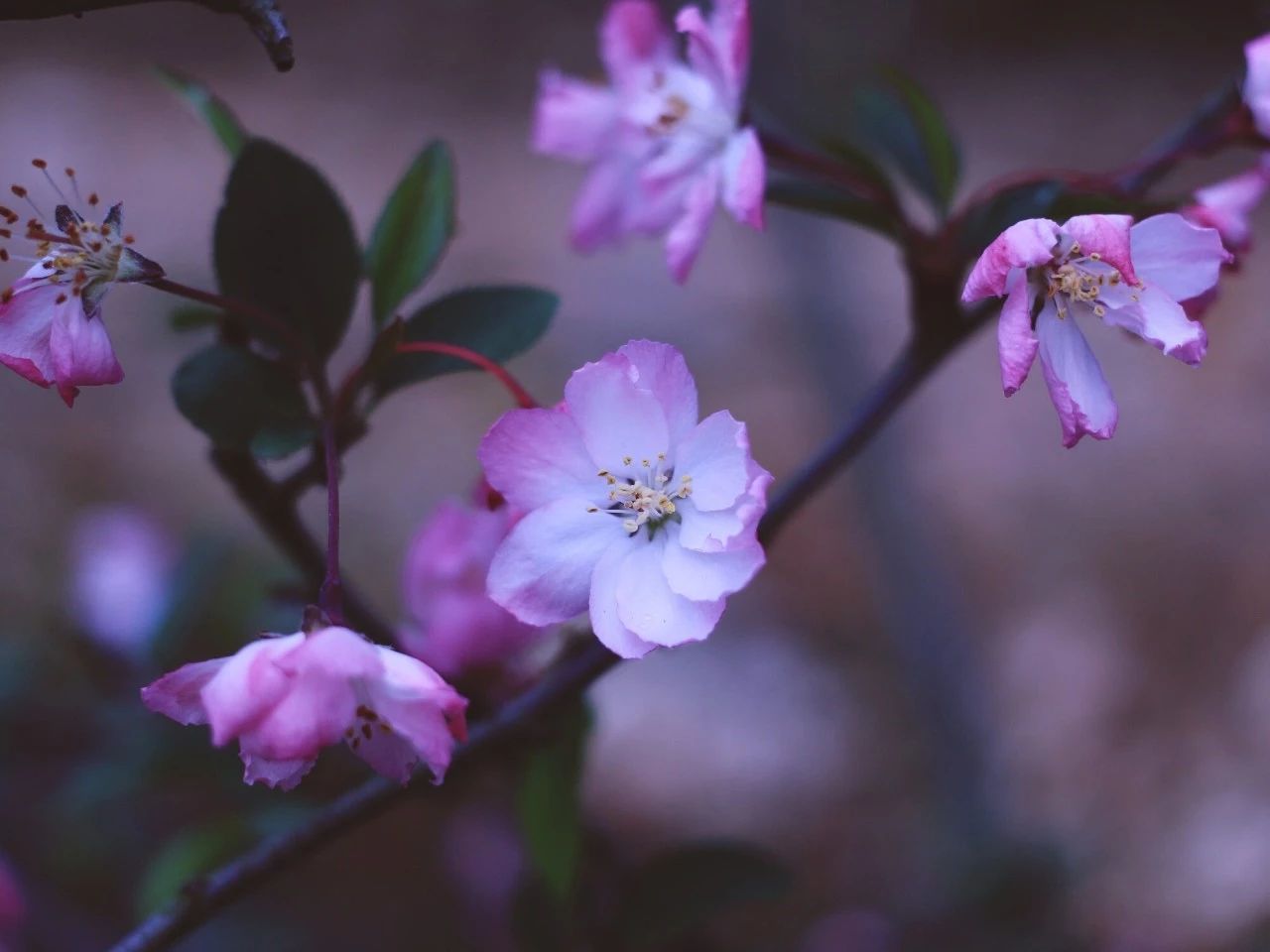 莫干山·梵谷，回歸自然的日子才是最難得