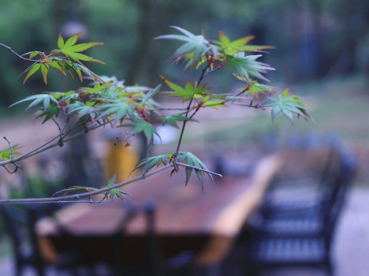 莫干山·梵谷，回歸自然的日子才是最難得