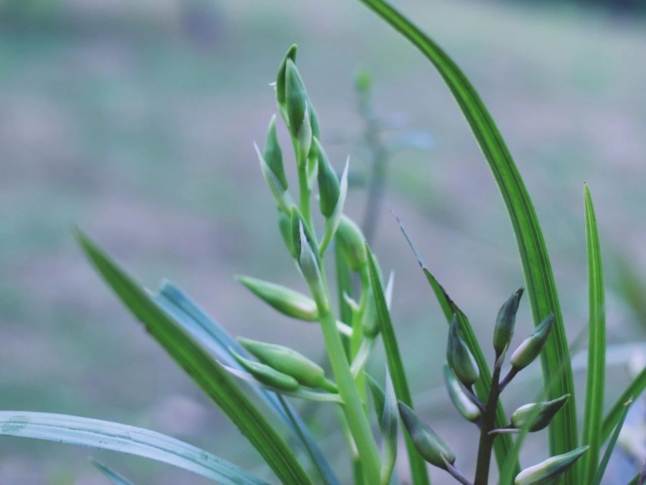 莫干山·梵谷，回歸自然的日子才是最難得