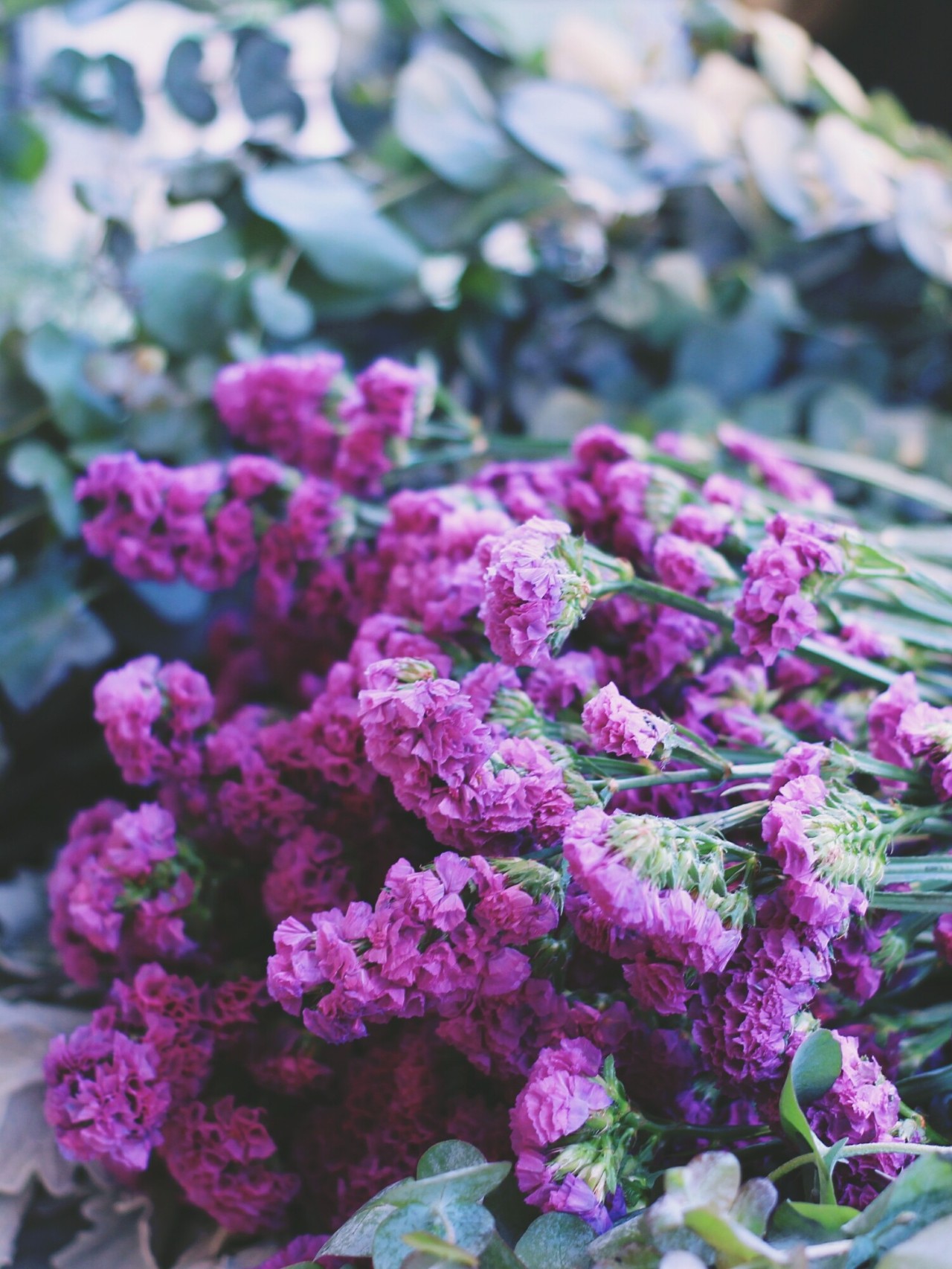 莫干山·梵谷，回歸自然的日子才是最難得