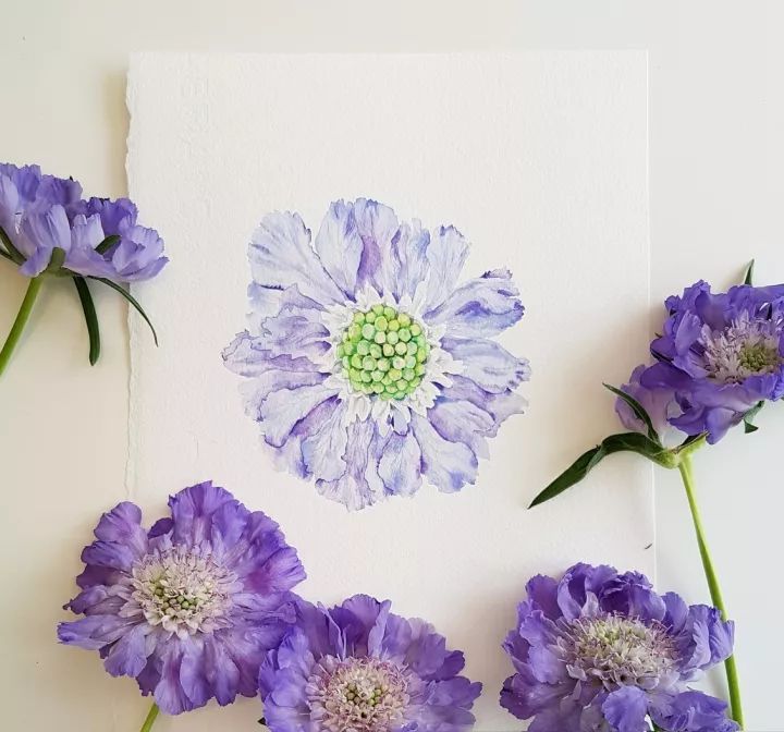 四季水彩花卉插畫，驚艷唯美!