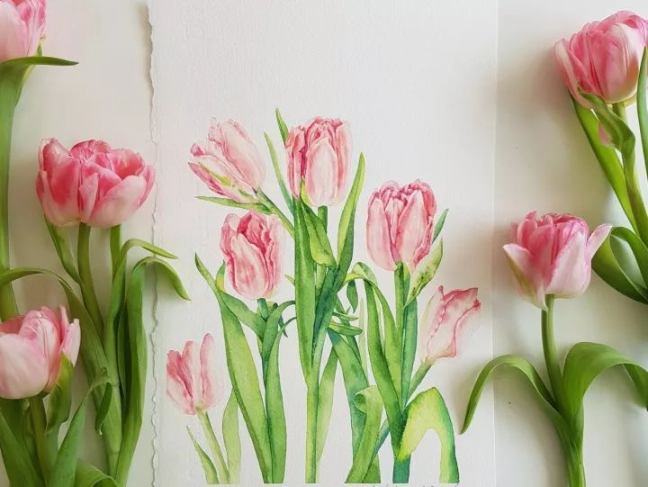 四季水彩花卉插畫，驚艷唯美!