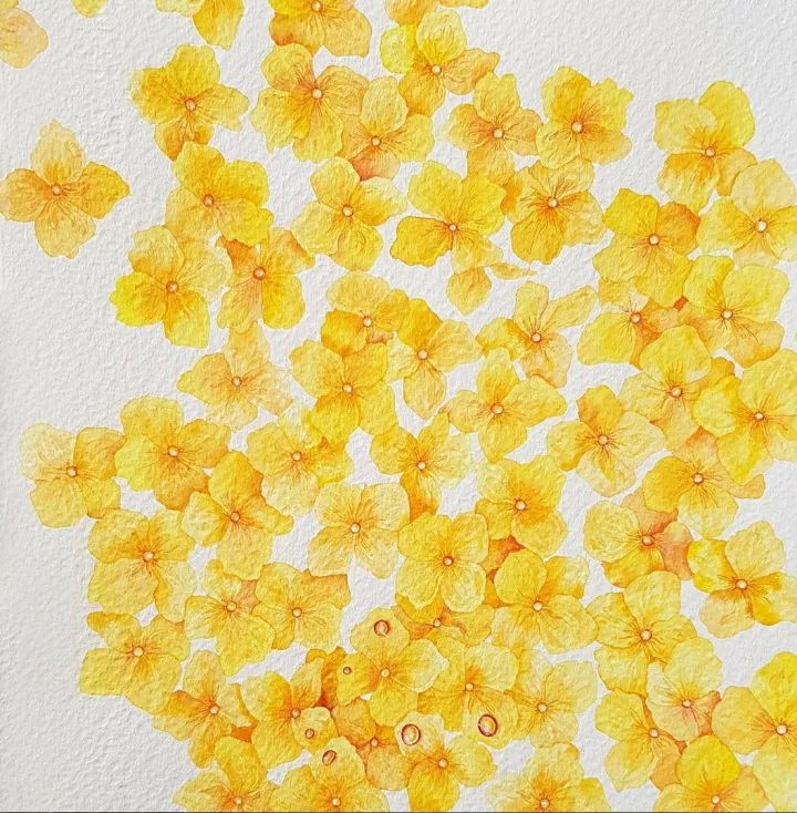 四季水彩花卉插畫，驚艷唯美!