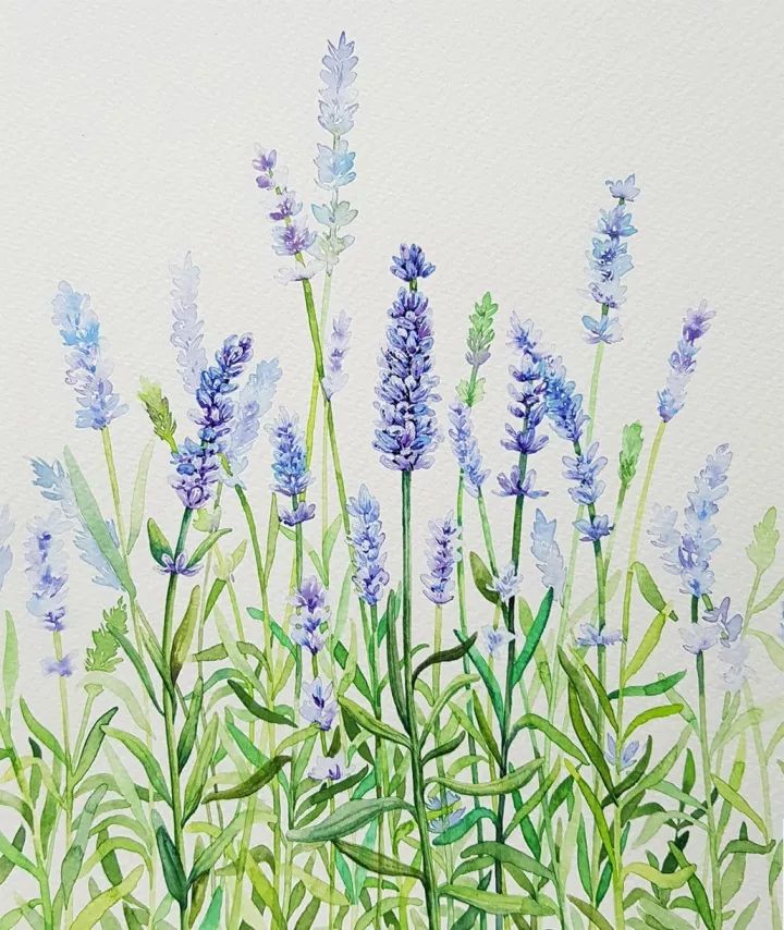 四季水彩花卉插畫，驚艷唯美!