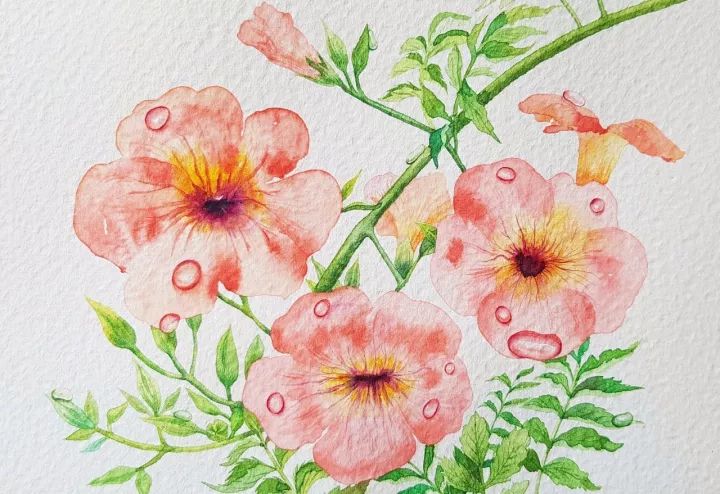 四季水彩花卉插畫，驚艷唯美!