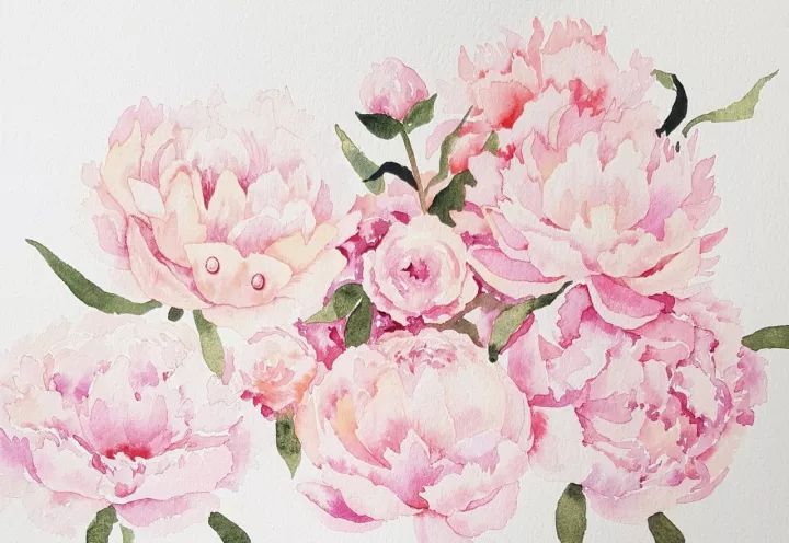 四季水彩花卉插畫，驚艷唯美!