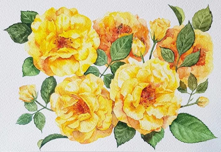 四季水彩花卉插畫，驚艷唯美!