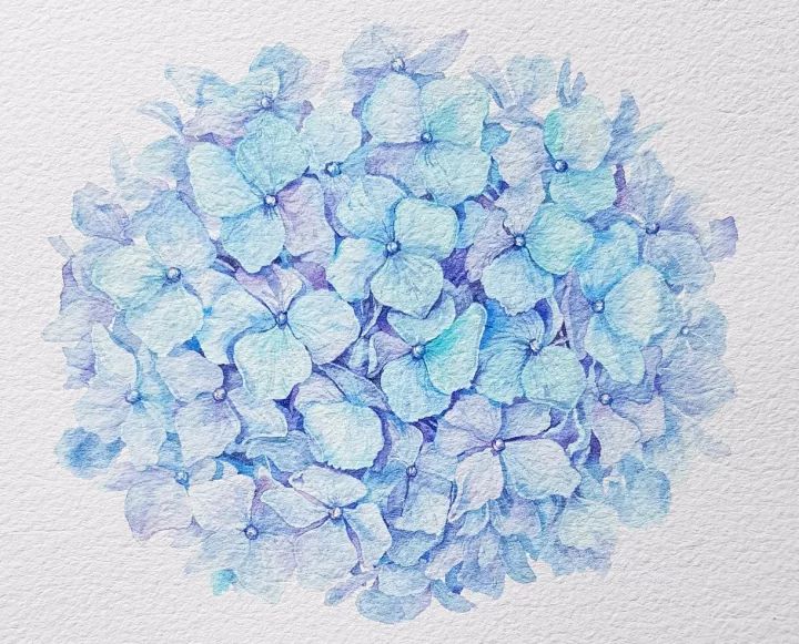 四季水彩花卉插畫，驚艷唯美!