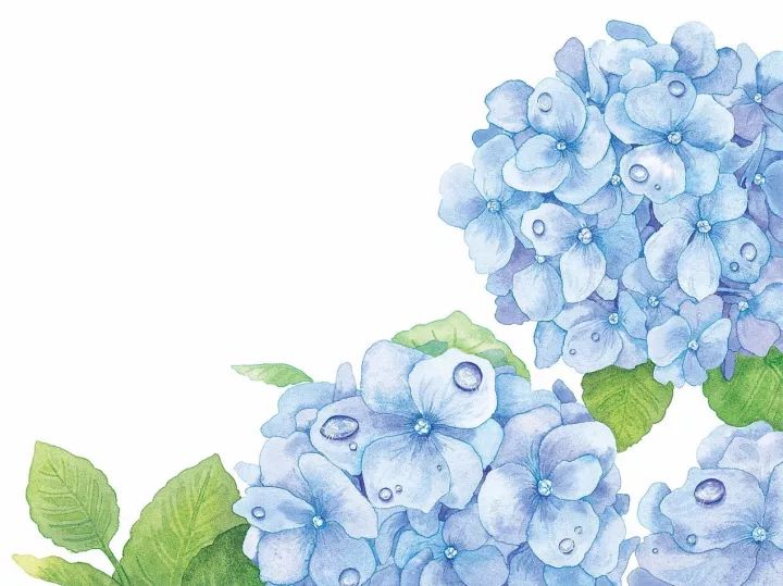 四季水彩花卉插畫(huà)，驚艷唯美!