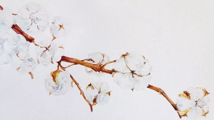 四季水彩花卉插畫(huà)，驚艷唯美!