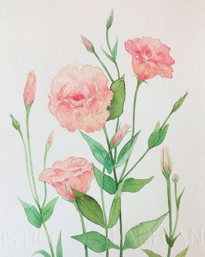 四季水彩花卉插畫(huà)，驚艷唯美!