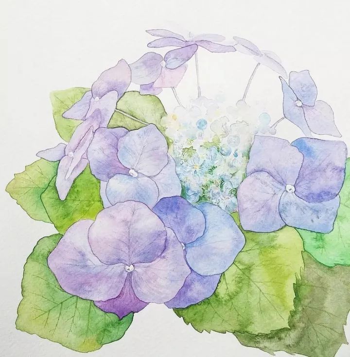 四季水彩花卉插畫(huà)，驚艷唯美!