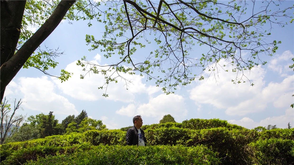 昆明·will酒店，守著這份初心遇見有趣的靈魂