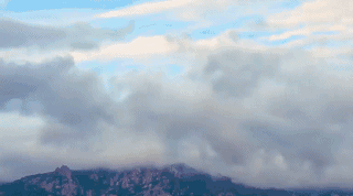 青島·町舍，風(fēng)花雪月的景卻歷久彌新！