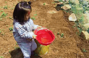 青島·町舍，風(fēng)花雪月的景卻歷久彌新！