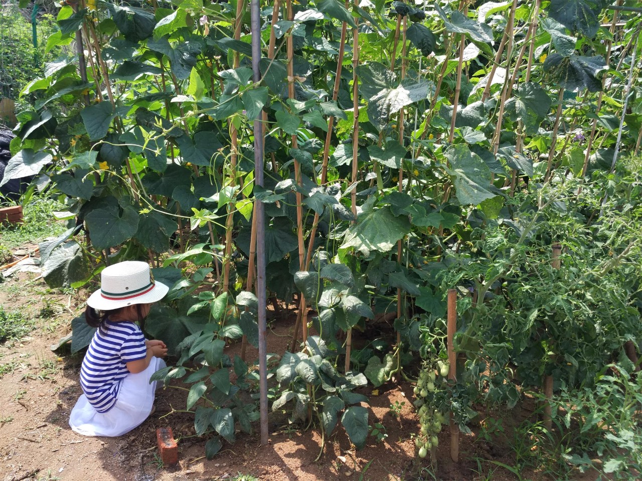 青島·町舍，風(fēng)花雪月的景卻歷久彌新！