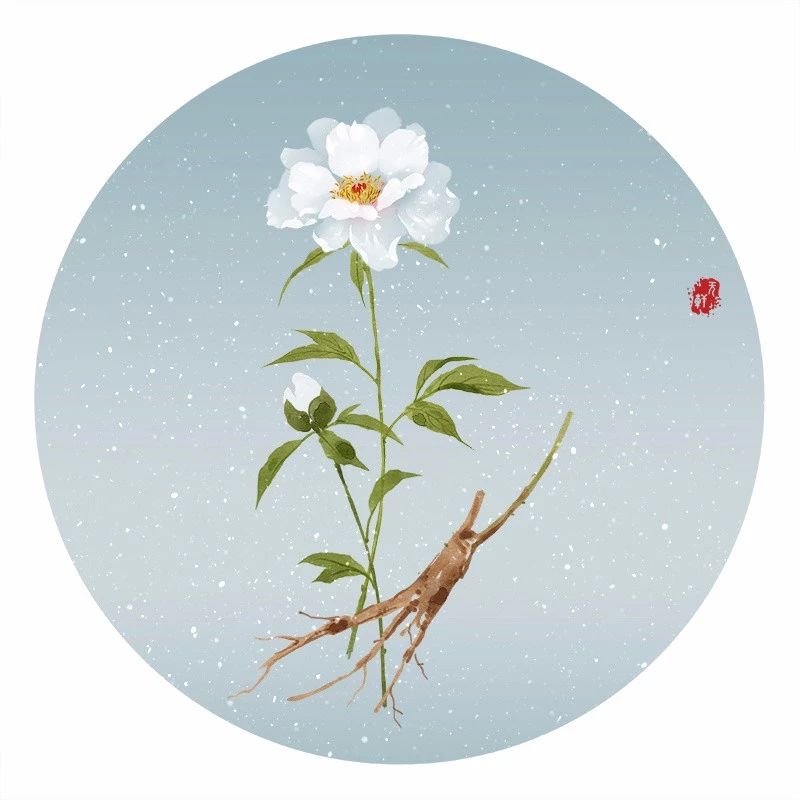 清新古風(fēng)花卉插畫，清雅如詩的插畫圖片