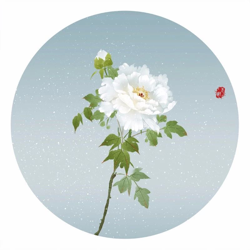 清新古風(fēng)花卉插畫，清雅如詩的插畫圖片