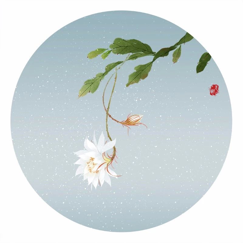 清新古風(fēng)花卉插畫，清雅如詩的插畫圖片