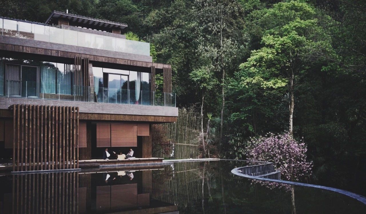 成都·坐忘森林，一宿一悟在火鍋之城住森林里