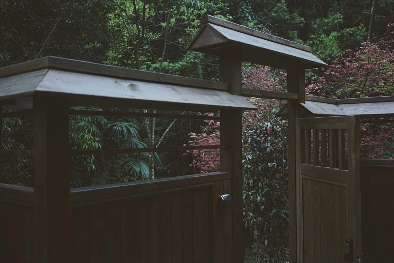 成都·坐忘森林，一宿一悟在火鍋之城住森林里