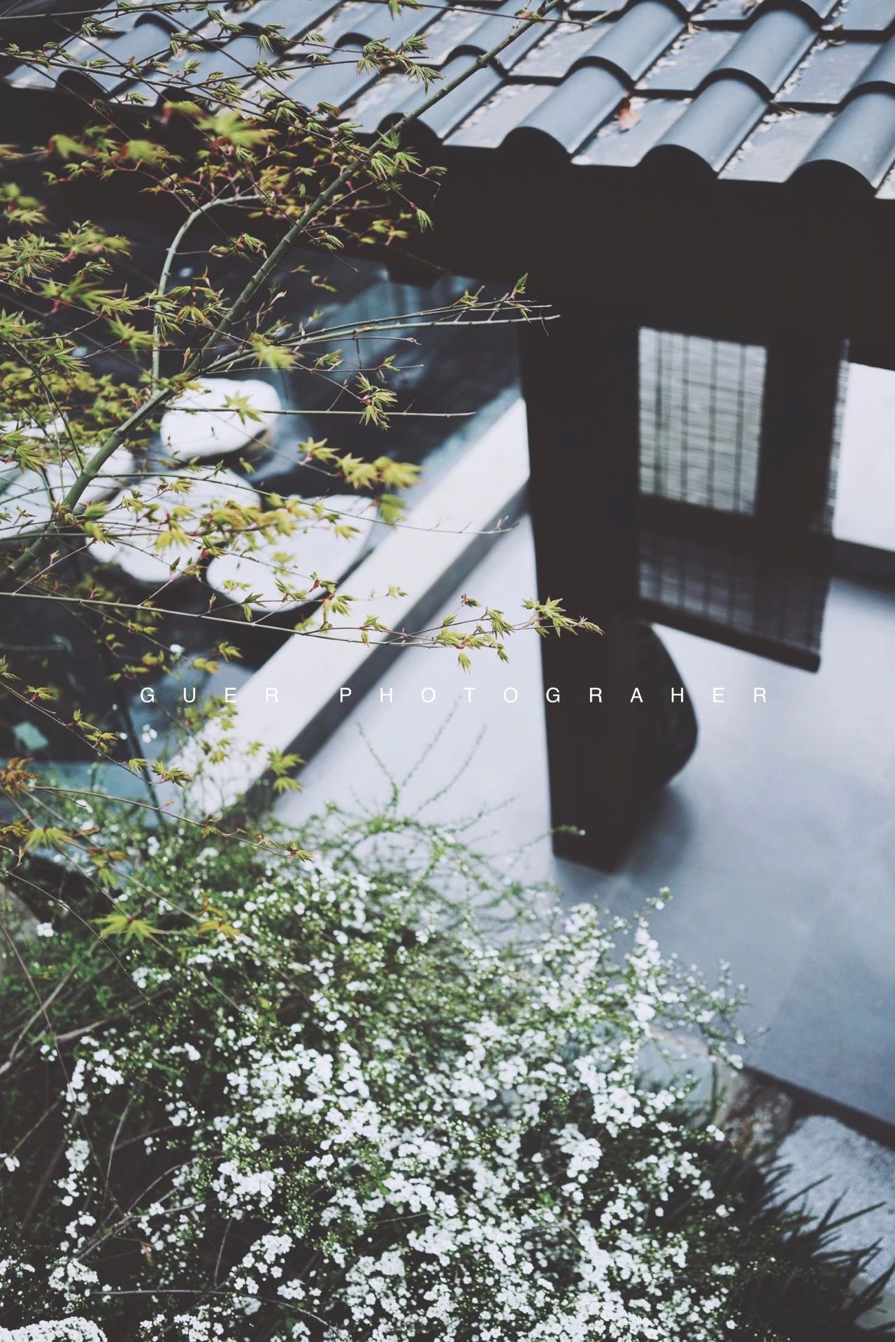 成都·坐忘森林，一宿一悟在火鍋之城住森林里