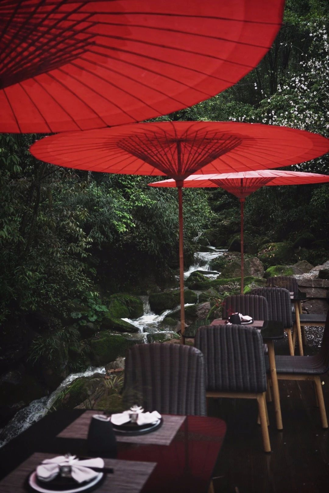 成都·坐忘森林，一宿一悟在火鍋之城住森林里