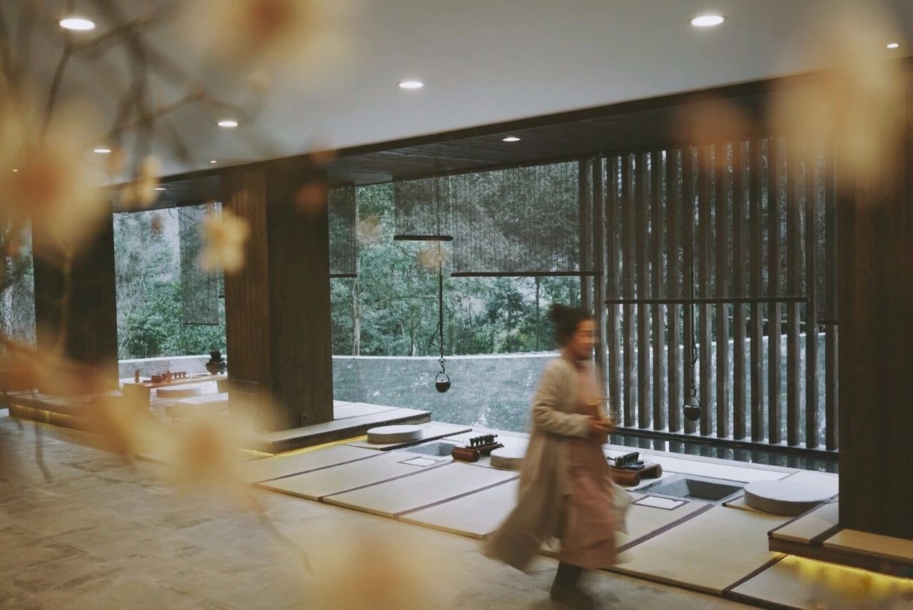 成都·坐忘森林，一宿一悟在火鍋之城住森林里