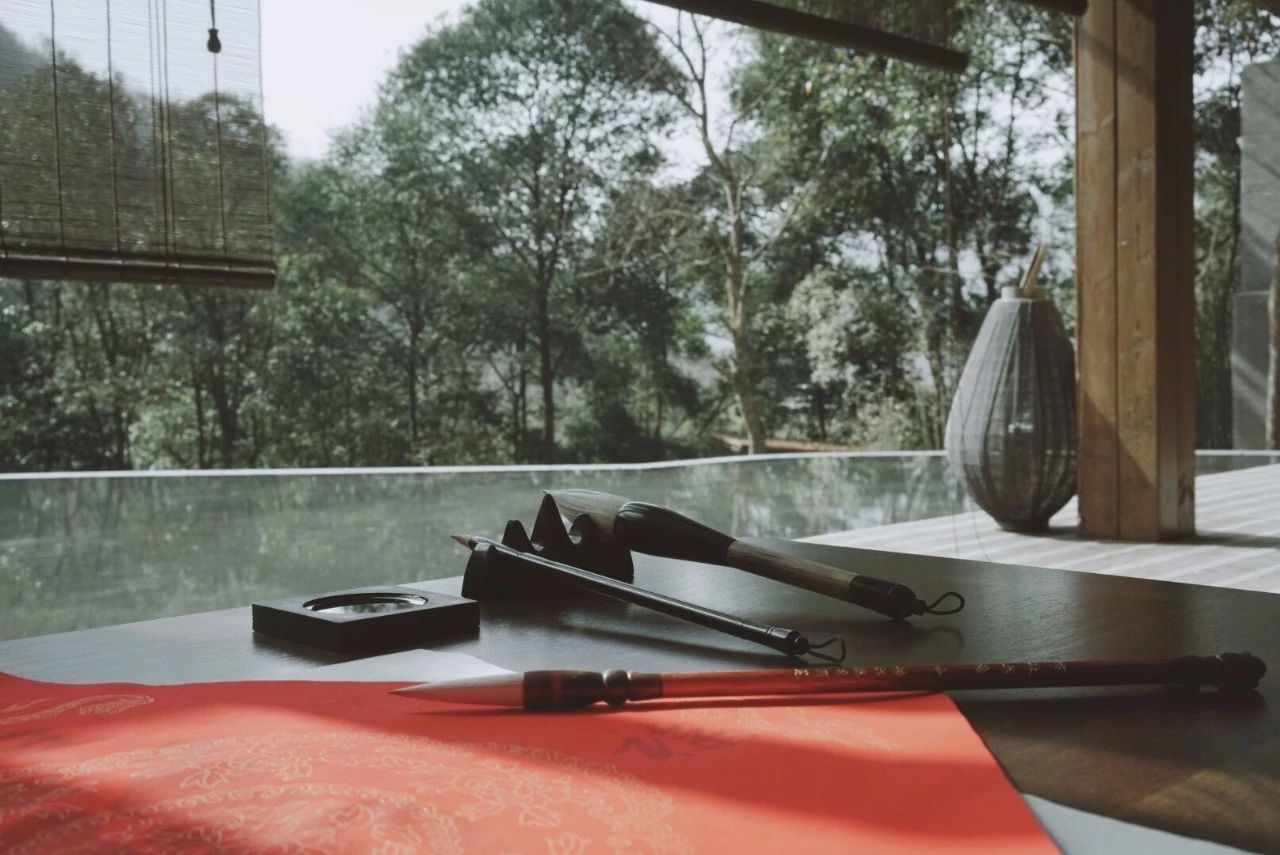 成都·坐忘森林，一宿一悟在火鍋之城住森林里