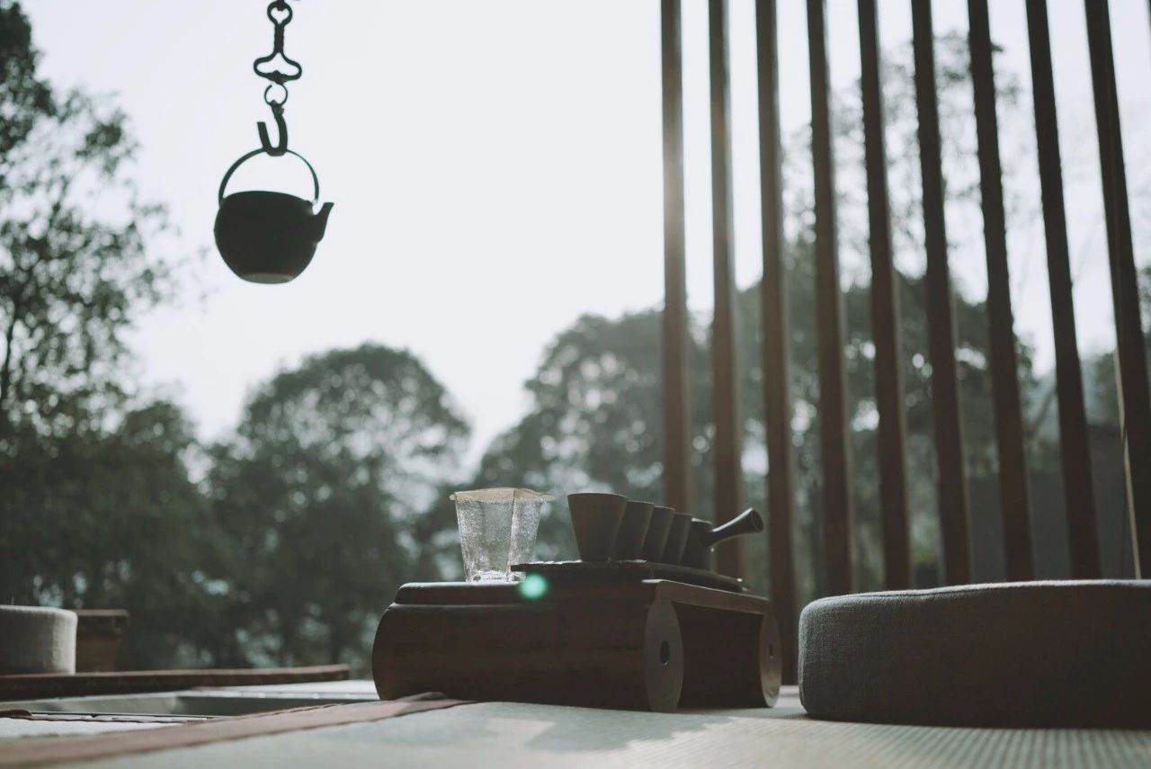 成都·坐忘森林，一宿一悟在火鍋之城住森林里