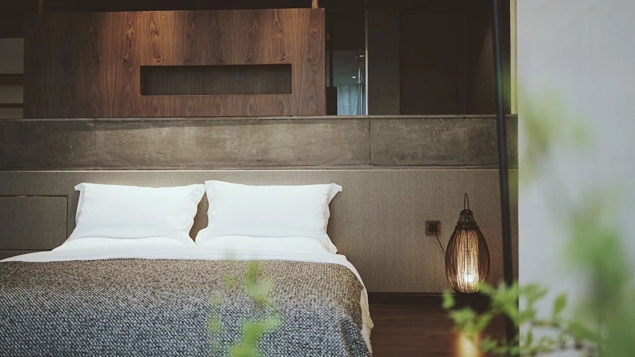 成都·坐忘森林，一宿一悟在火鍋之城住森林里