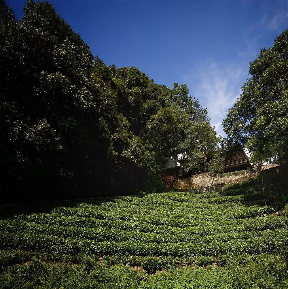 山中·隱宿：三款不錯的民宿設(shè)計只為與你相遇