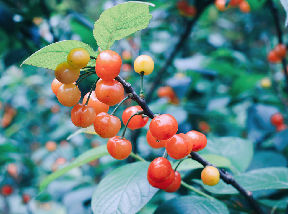 大樂之野·谷舍，遺忘的美好之地的正確打開方式