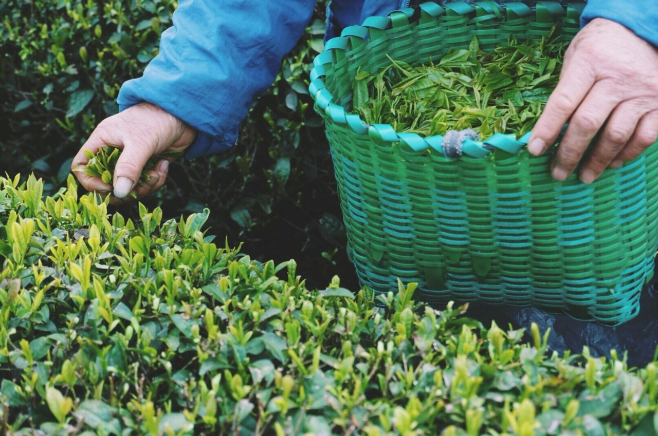 大樂之野·谷舍，遺忘的美好之地的正確打開方式
