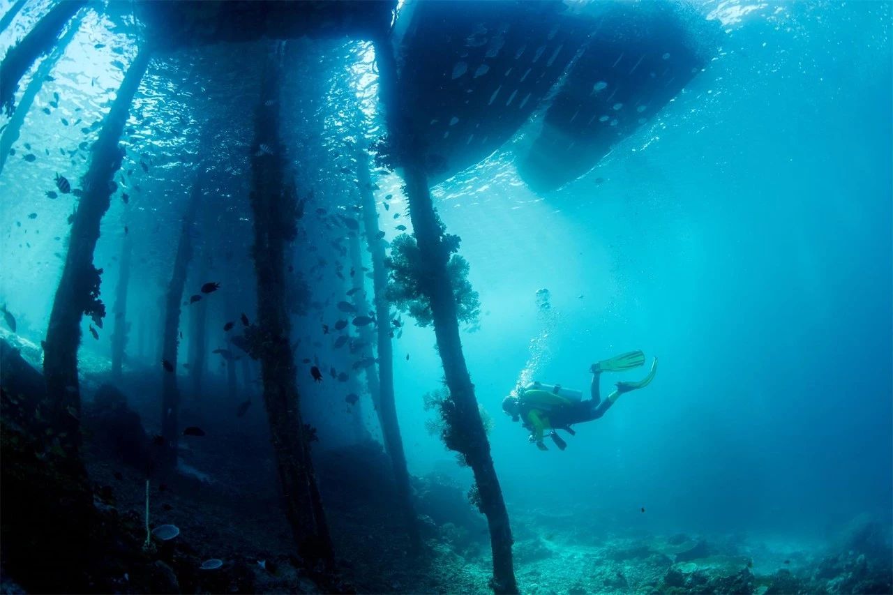 大理·沐林苑，擇一處小院賞四季明媚